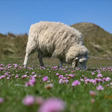 Im Haus Nordland Nordland, App 87, Lejlighed Vesterland