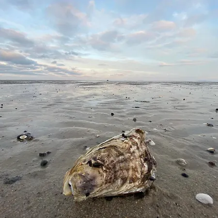 Lejlighed Im Haus Nordland Nordland, App 87, Vesterland